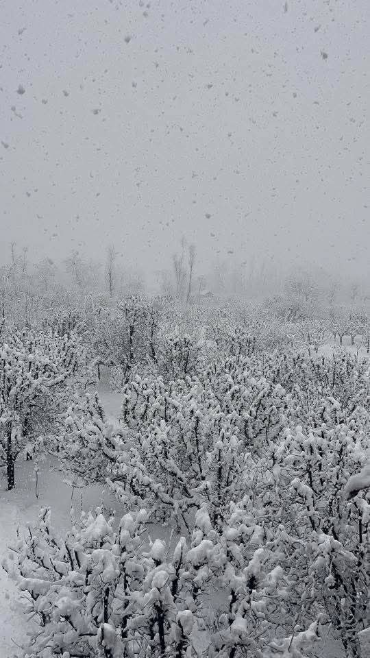 Flight Operations Normal at Srinagar Airport, Three Flights Cancelled Due to Delhi NOTAM