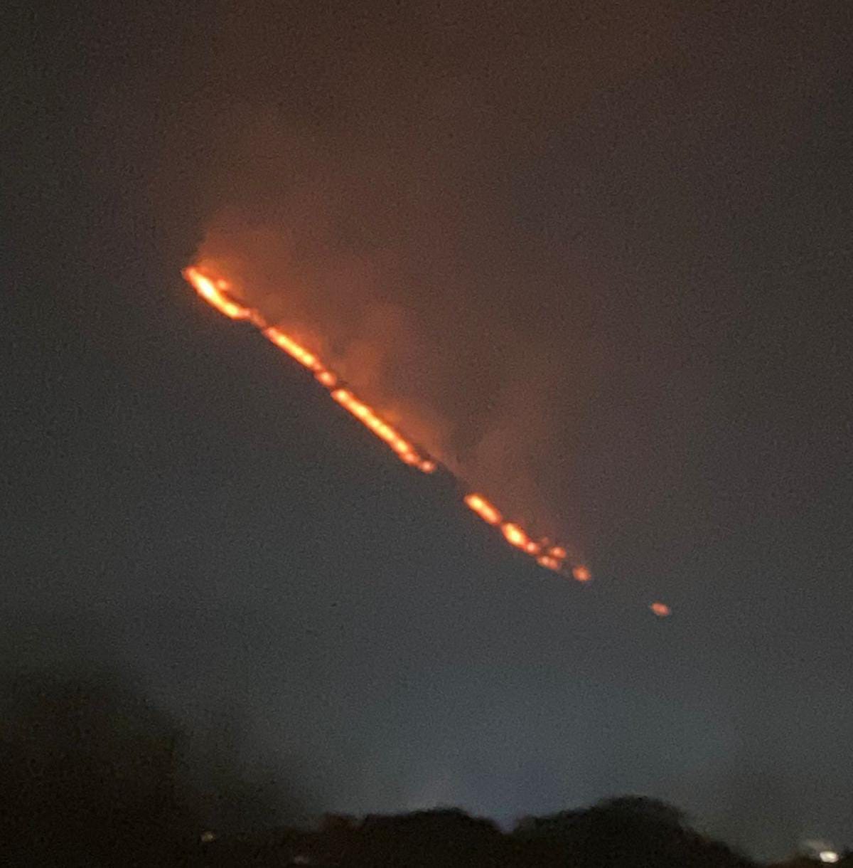 Fire breaks out in Dachigam forest area of Srinagar